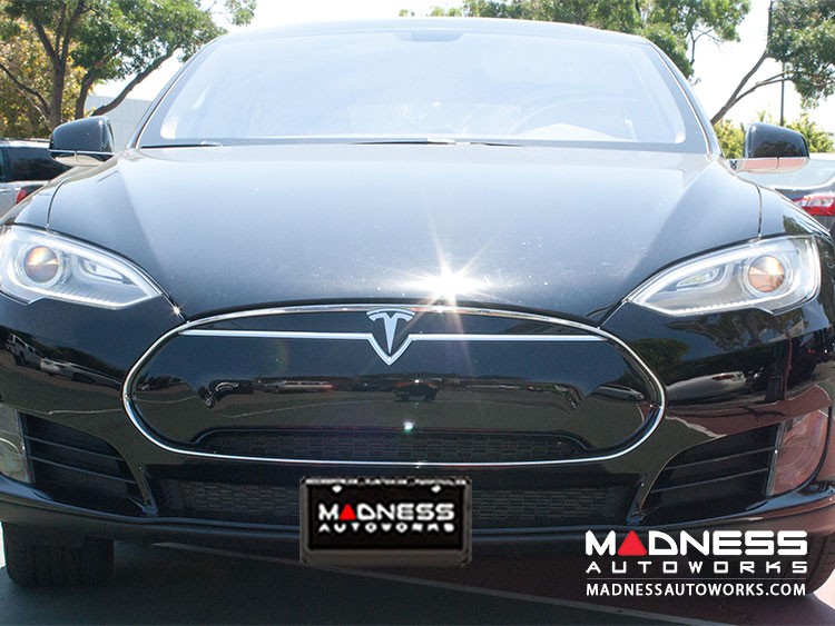 Tesla model s plate